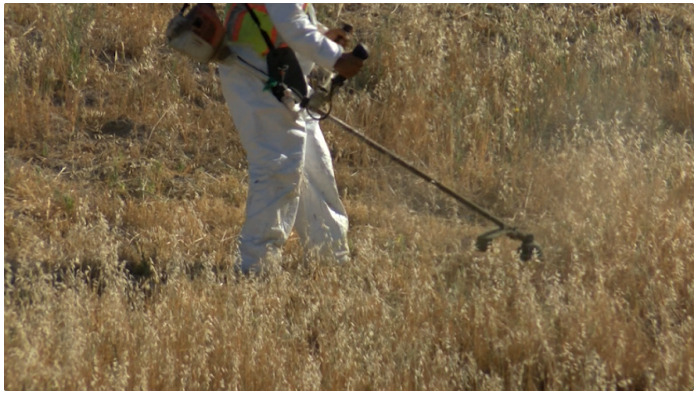 Property cleared of fire hazard weeds for weed abatement compliance